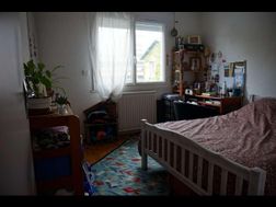 Photo n°1