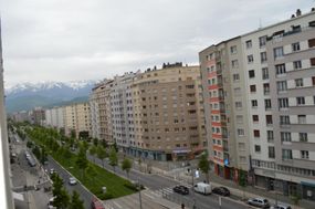 Photo n°8