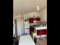 Photo n°4