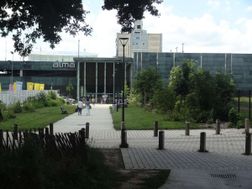 Photo n°6