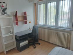 Photo n°2