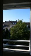 Photo n°1