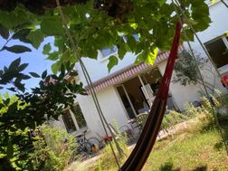 Photo n°1