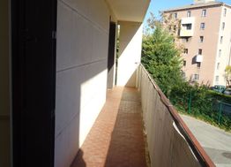 Photo n°1