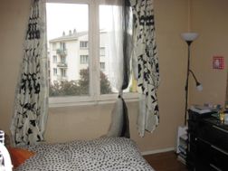Photo n°2