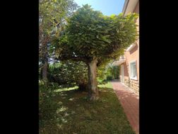 Photo n°2