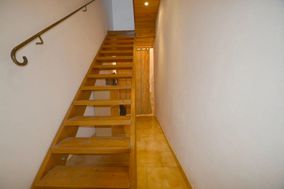 Photo n°8