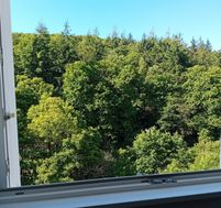 Photo n°4