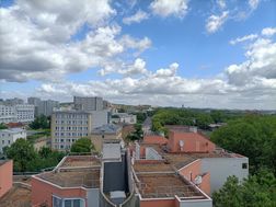 Photo n°3