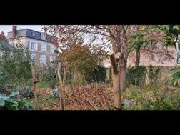Photo n°6