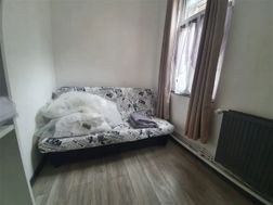 Photo n°2