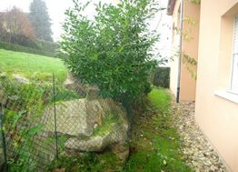 Photo n°6