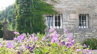 Photo n°1