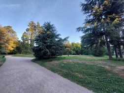 Photo n°4