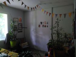 Photo n°6