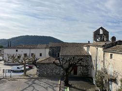 Photo n°6