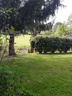 Photo n°1