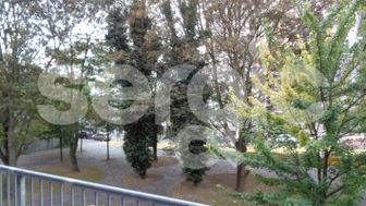 Photo n°3
