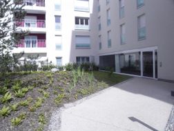 Photo n°5