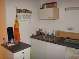 Photo n°2
