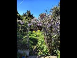 Photo n°4