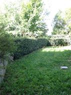 Photo n°5