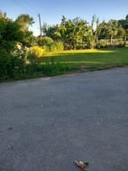 Photo n°6