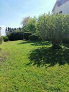 Photo n°2