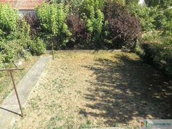 Photo n°6