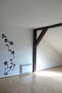Photo n°4