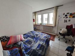Photo n°7