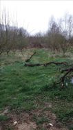 Photo n°6