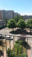 Photo n°6