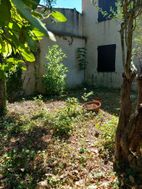 Photo n°4