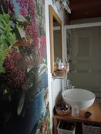Photo n°3
