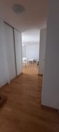 Photo n°6