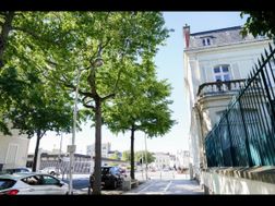 Photo n°5