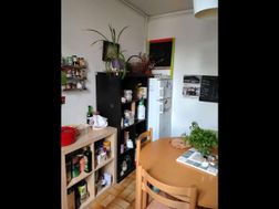 Photo n°6