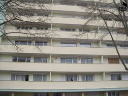 Photo n°8