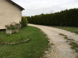 Photo n°5