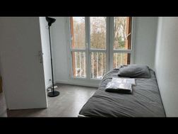 Photo n°5