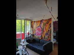 Photo n°3
