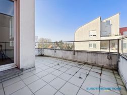 Photo n°6