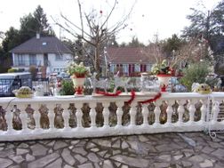 Photo n°3