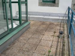 Photo n°6