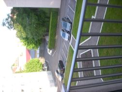 Photo n°4