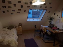 Photo n°1