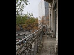Photo n°6
