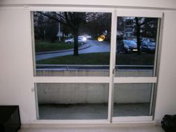 Photo n°6
