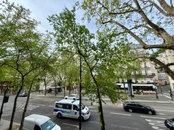 Photo n°1